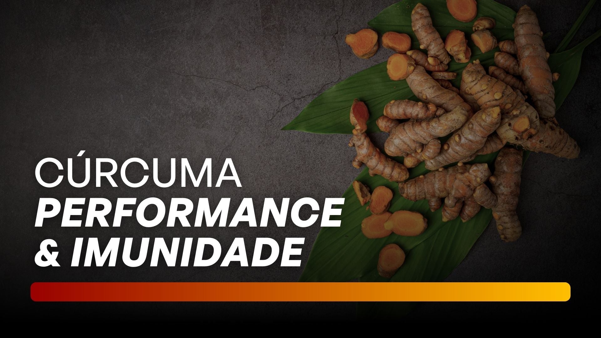 Cúrcuma e performance profissional e pessoal